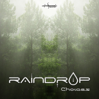 Raindrop - Choices