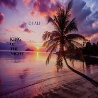 DJ ALI - King of the Night (From Tropical Oasis Experience 2: Numinous)