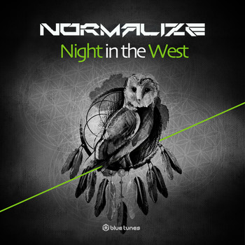 Normalize - Night in the West
