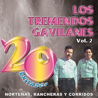 Los Tremendos Gavilanes - 20 Exitazos, Vol. 2