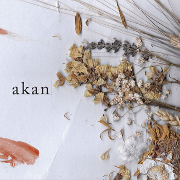 akan - akan