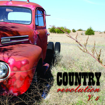 Various Artists - Country Revolution, Vol. 4