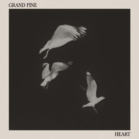 Grand Pine / - Heart