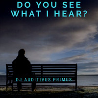 Dj Auditivus Primus / - Do You See What I Hear?
