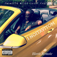 Bloris Remote - Motivation I (Explicit)