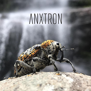 Anxtron - Escaravelho