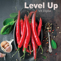 Vx Digital - Level Up