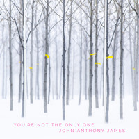 John Anthony James - You're Not the Only One