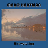 Marc Hartman - Birdwatching