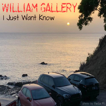 William Gallery - I Just Want Know