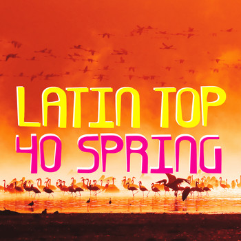 Various Artists - Latin Top 40 Spring