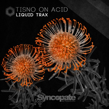 Liquid Trax - Tisno On Acid