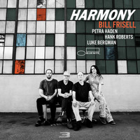 Bill Frisell - Everywhere