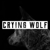 Hannah Lynn / - Crying Wolf