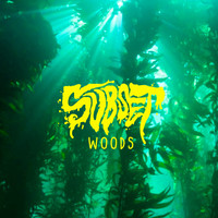 SUBSET / - Woods