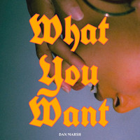 DAN MARSH / - What You Want