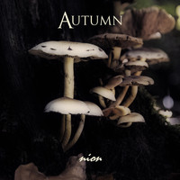 Nion - Autumn (Single Mix)