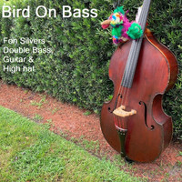 Fon Silvers - Bird on Bass