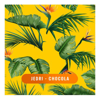 Jedri - Chocola