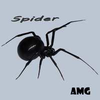 AMG - Spider