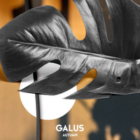 Galus - Autumn