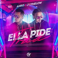 Aneo - Ella Pide Traa (feat. Jaymelow) (Explicit)