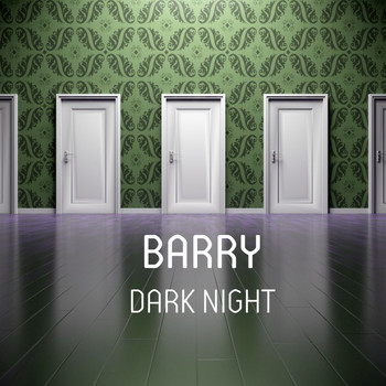 Barry - Dark Night