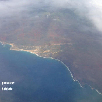Perceiver - Holoholo