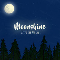 Moonshine - After the Storm