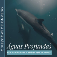 Vinícius Boaventura - Águas Profundas - Oceano Subaquático com Som de Golfinhos e Baleias para se Relaxar