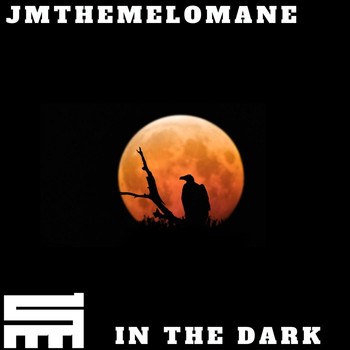 Jmthemelomane - In the Dark (Explicit)