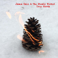 James Hall & the Steady Wicked - True North