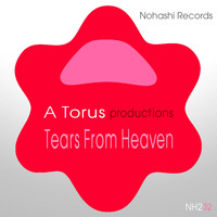 Toru S. - Tears From Heaven