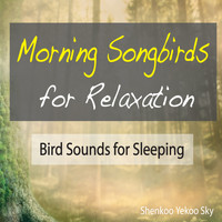 Shenkoo Yekoo Sky - Morning Songbirds for Relaxation: Bird Sounds for Sleeping