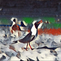 Origami Repetika - Singing Gulls (Explicit)
