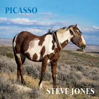 Steve Jones - Picasso