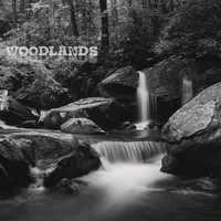 Alex Krug Combo - Woodlands