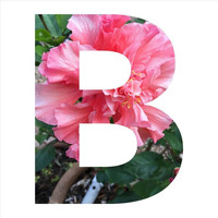 Meem - Belle