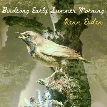 Kenn Esden - Birdsong Early Summer Morning