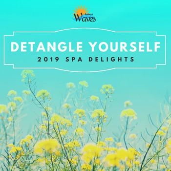 Various Artists - Detangle Yourself - 2019 Spa Delights