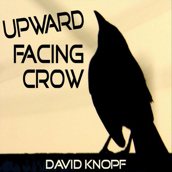 David Knopf - Upward Facing Crow