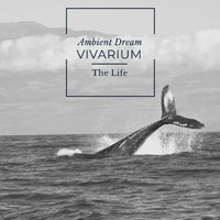 Vivarium - The Life
