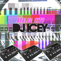 DJ Icey - Analog City