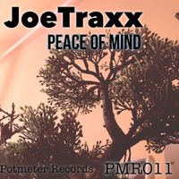 JoeTraxx - Peace of Mind