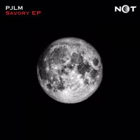 PJLM - Savory EP