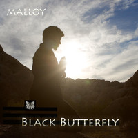 Malloy - Black Butterfly