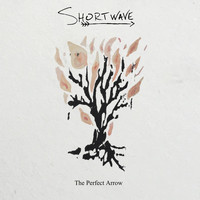 Shortwave - The Perfect Arrow (Explicit)