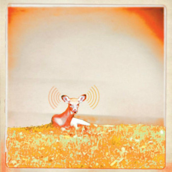 Mountain Echoes - Mountain Echoes