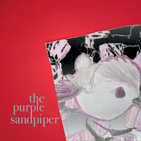 The Purple Sandpiper - The Purple Sandpiper