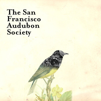 Mitch Greer - The San Francisco Audubon Society